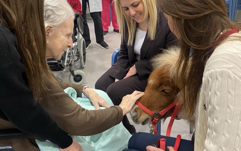 Η Μελίνα… στήνει γέφυρες αλληλεγγύης με μικρά πόνυ