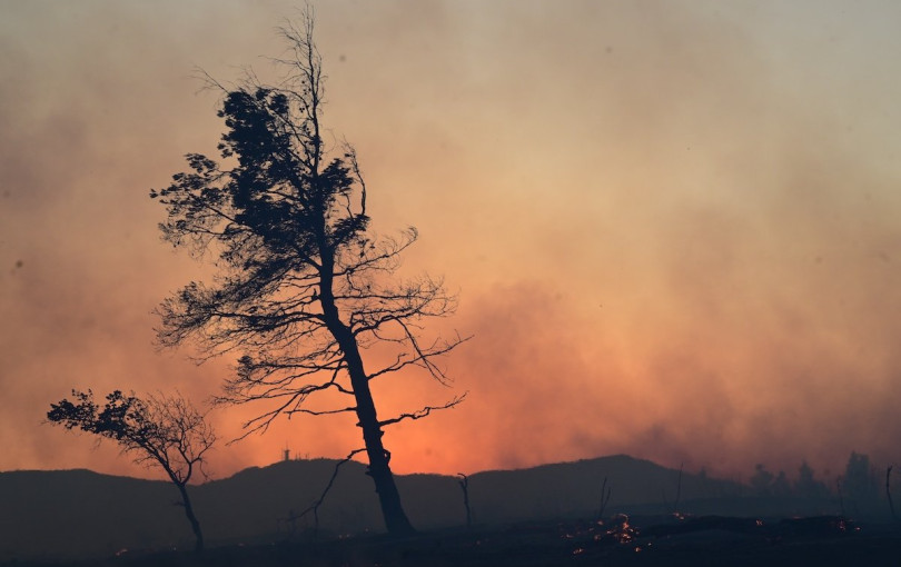 Πυρκαγιές: Το 2025 ανάμεσα στις πέντε πιο καταστροφικές αντιπυρικές περιόδους της 20ετίας - Τι δείχνει η κοινή έκθεση WWF και ΕΑΑ