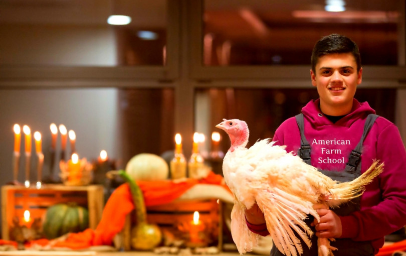 Θεσσαλονίκη: Σε όλα τα στάδια παραγωγής της γαλοπούλας συμμετέχουν μαθητές και σπουδαστές της Αμερικανικής Γεωργικής Σχολής
