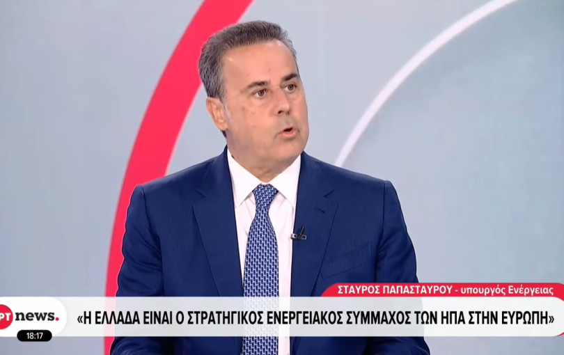 Στ. Παπασταύρου:  «Εξελιχθήκαμε σε σταθερό, αξιόπιστο και, τελικά, αποτελεσματικό σύμμαχο των ΗΠΑ» (βίντεο)