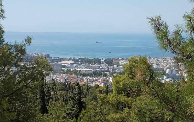 Παγκόσμια Ημέρα Δασών: Το Σέιχ Σου - ζωντανός πνεύμονας της Θεσσαλονίκης