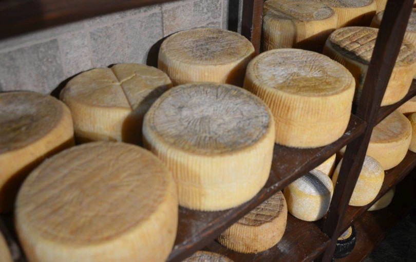 Το καλύτερο τυρί του κόσμου για το 2025 είναι ελληνικό - Η γραβιέρα Νάξου στην κορυφή