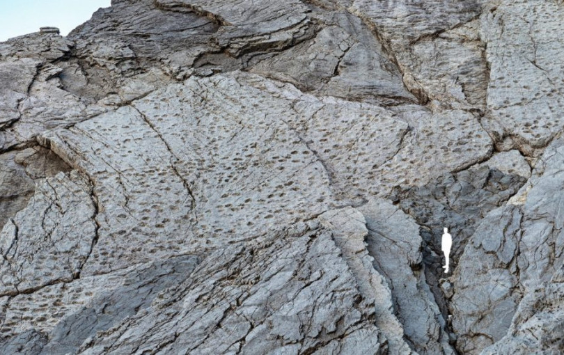 Χιλιάδες αποτυπώματα δεινοσαύρων εντοπίστηκαν σε βράχους των Άλπεων