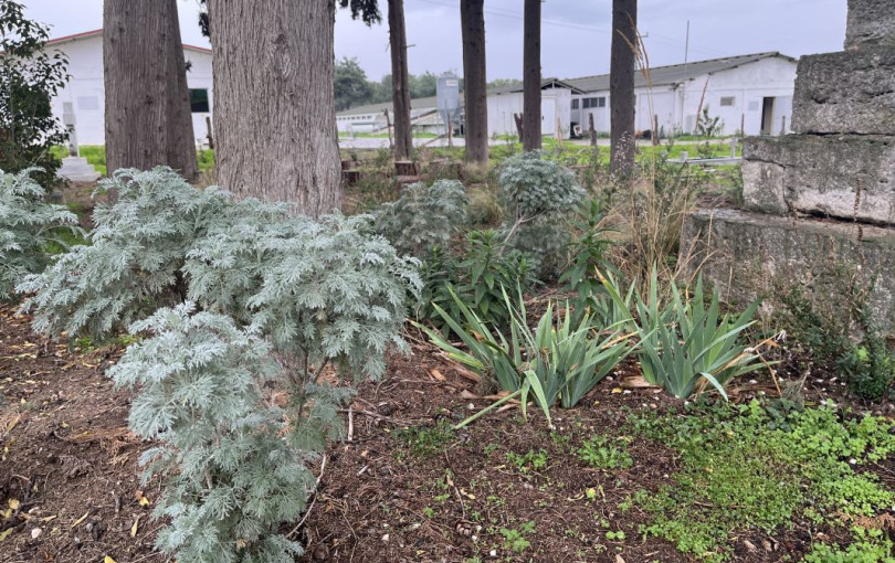 Θεσσαλονίκη: 15 νέοι θεματικοί κήποι αναδεικνύουν βιώσιμες πρακτικές και την ανθεκτικότητα στην κλιματική κρίση