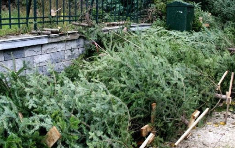 Δήμος Θεσσαλονίκης: Αποκομιδή και ανακύκλωση των φυσικών Χριστουγεννιάτικων δέντρων