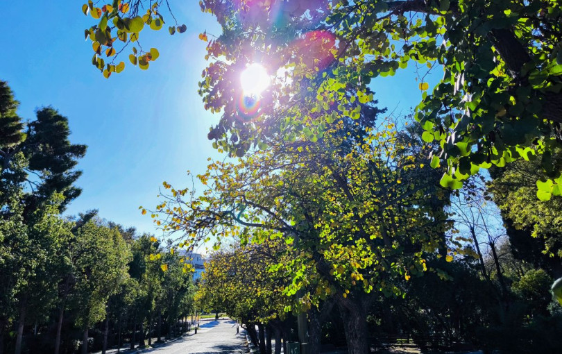 Το φως της ημέρας οξύνει το μυαλό, καταπολεμά τη νύστα και βελτιώνει την προσοχή και τα αντανακλαστικά