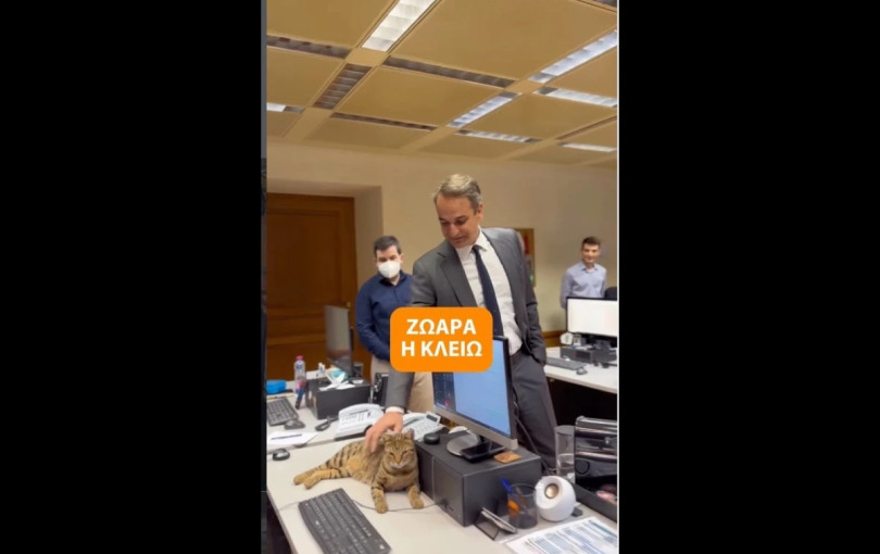 Κλειώ vs Peanut στο Μαξίμου: Νέα τετράποδη ισορροπία εξουσίας (βίντεο)