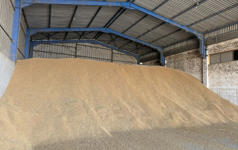 Σε αδιέξοδο οι ορυζοπαραγωγοί της Δυτικής Θεσσαλονίκης- Γεμάτες αποθήκες και άδειες τσέπες οδηγούν σε νέες κινητοποιήσεις