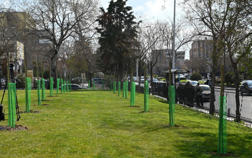 ΑΠΘ: Τα πρώτα 500 δέντρα, τα 13 του Βαρώτσου που περιμένουν και η έξωση των ΙΧ από το campus. Του Νίκου Ηλιάδη