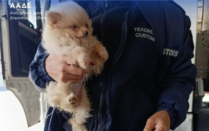 «Φρένο» στο λαθρεμπόριο από την ΑΑΔΕ: X-Rays και τετράποδοι ανιχνευτές «ξεσκέπασαν» εκατομμύρια ευρώ και ναρκωτικά