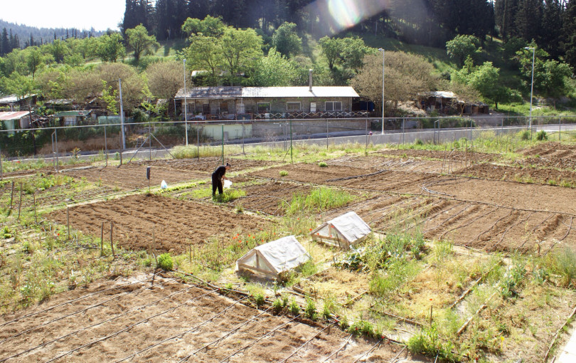 Έως τις 15 Μαρτίου οι αιτήσεις για τους δημοτικούς λαχανόκηπους στον δήμο Νεάπολης-Συκεών