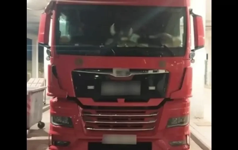 Έβρος: Η τεχνολογία «πρόδωσε» διακινητή στους Κήπους - Εντοπίστηκαν οκτώ μετανάστες κρυμμένοι σε φορτηγό