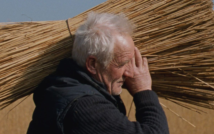 Σινεμά - Ο Αλέξης Δερμεντζόγλου επιλέγει: Δυσοίωνο μέλλον, συζυγικά δράματα, Βιβάλντι και ο Μαρσέλ Πανιόλ