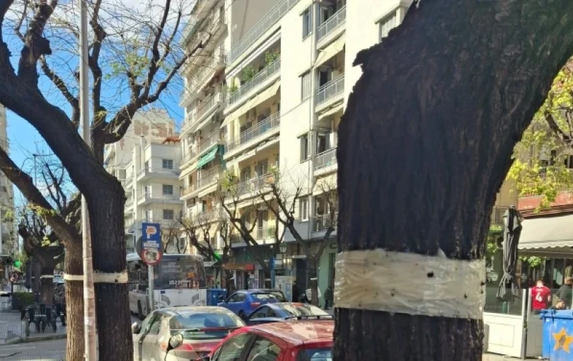 Το ανέκδοτο με το ασυμβίβαστο, η φραγή στα κινητά... των γονέων, το τέλος του αντικαπνιστικού νόμου και οι φτελιές της Θεσσαλονίκης