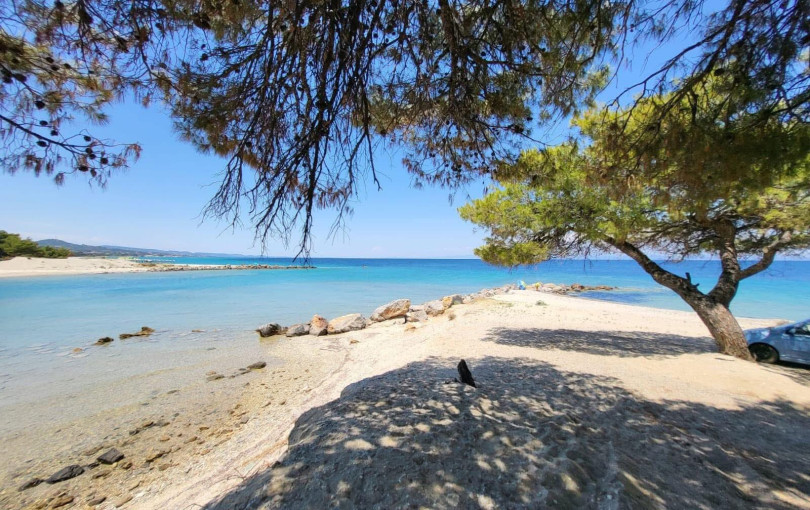 Χαλκιδική: 65χρονος τουρίστας ανασύρθηκε νεκρός από τη θάλασσα στον Γλαρόκαβο