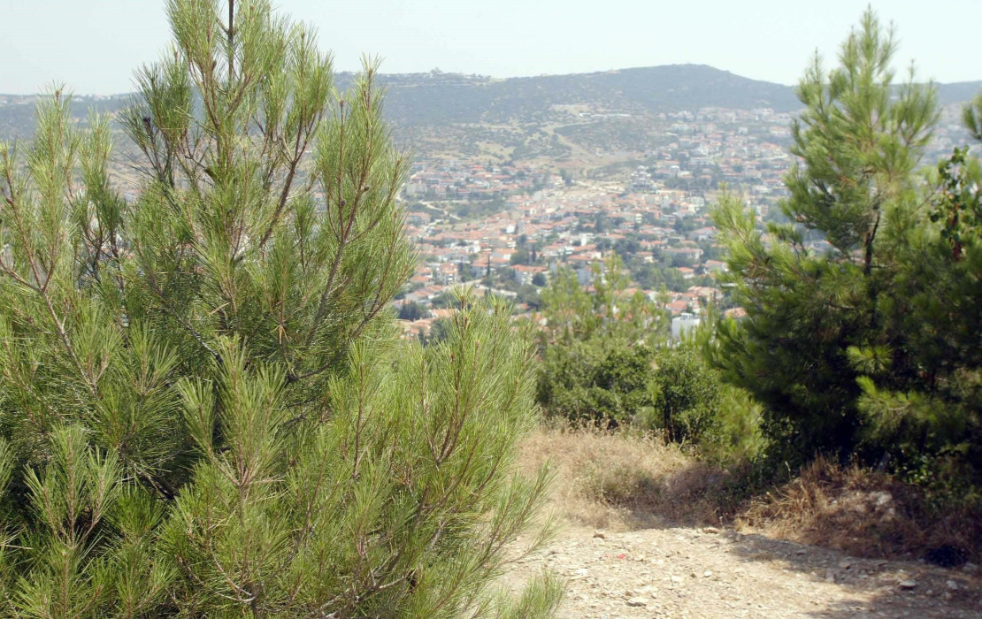 Θεσσαλονίκη: Βλήμα του Β’ Παγκοσμίου Πολέμου εντοπίστηκε στο Σέιχ Σου