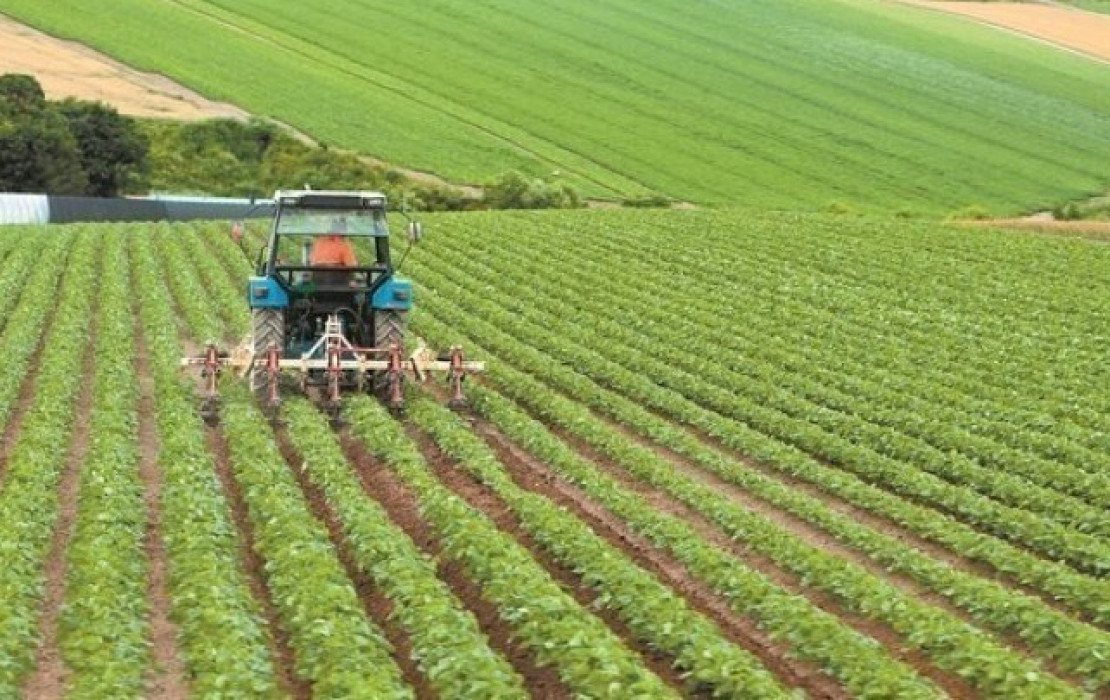 Greenpeace: Στο 1% των παραληπτών πηγαίνει το 40% των χρημάτων της ΚΑΠ