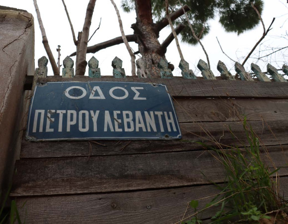 Image Caption Image Caption