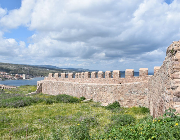 Image Caption Image Caption