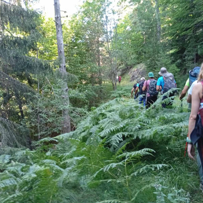 Παγκόσμια Ημέρα Δασών: Ποια είναι τα 19 αισθητικά δάση στην Ελλάδα