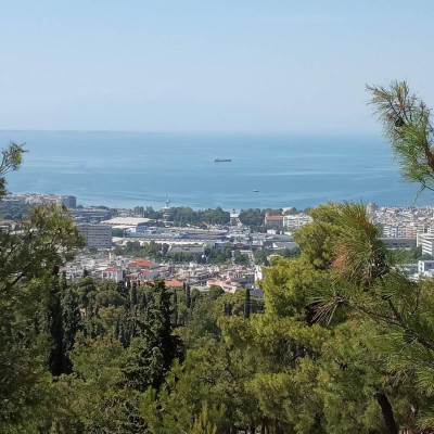 Παγκόσμια Ημέρα Δασών: Το Σέιχ Σου - ζωντανός πνεύμονας της Θεσσαλονίκης