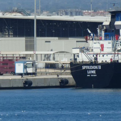 Aποτροπιασμός στην Τουρκία: Τουλάχιστον 58 αγελάδες πέθαναν και 140 γέννησαν πάνω σε πλοίο (βίντεο)