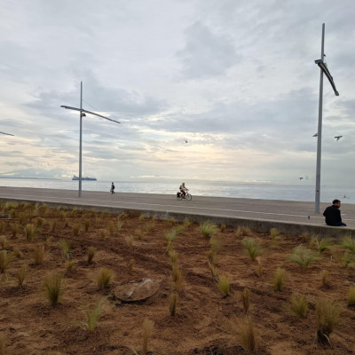 Θεσσαλονίκη: Πρασινίζει ξανά με 1000 στίπες ο Κήπος του Απογευματινού Ηλίου στη Νέα Παραλία (βίντεο)