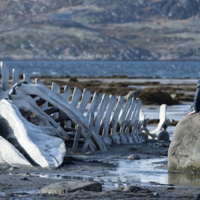 Δήμος Νεάπολης Συκεών: Δωρεάν προβολές στην Κινηματογραφική Λέσχη Η Πόλη Αλλιώς
