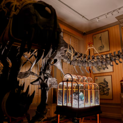 Τσάντα από «δέρμα» δεινοσαύρου T-Rex δημοπρατείται για μισό εκατομμύριο δολάρια