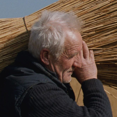 Σινεμά - Ο Αλέξης Δερμεντζόγλου επιλέγει: Δυσοίωνο μέλλον, συζυγικά δράματα, Βιβάλντι και ο Μαρσέλ Πανιόλ